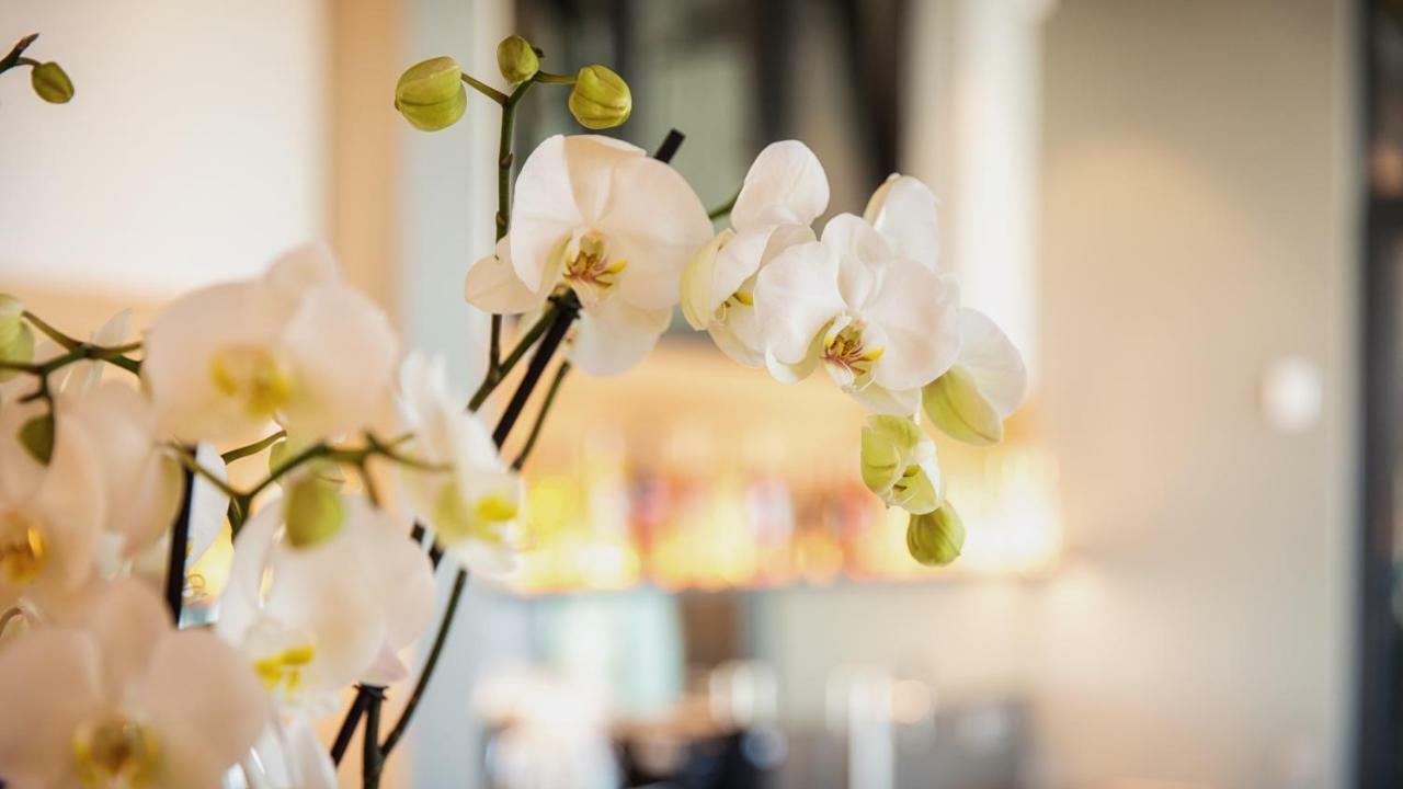 Heuboden Hotel Heu.Loft Freiburg Umkirch Bagian luar foto